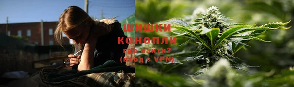 сатива Михайлов