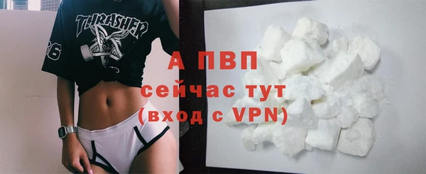 сатива Михайлов