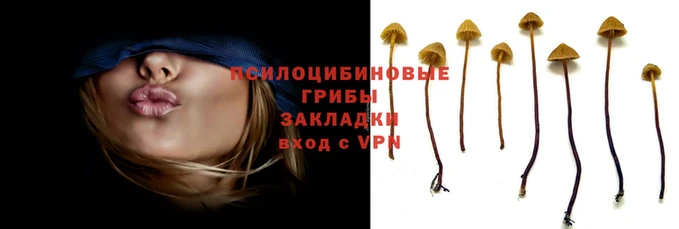 сатива Михайлов