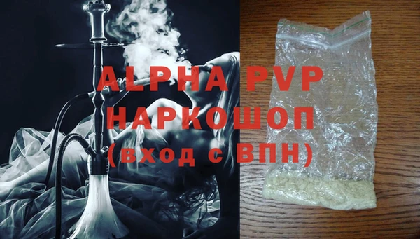 гидра Билибино