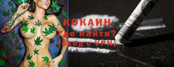 индика Бежецк